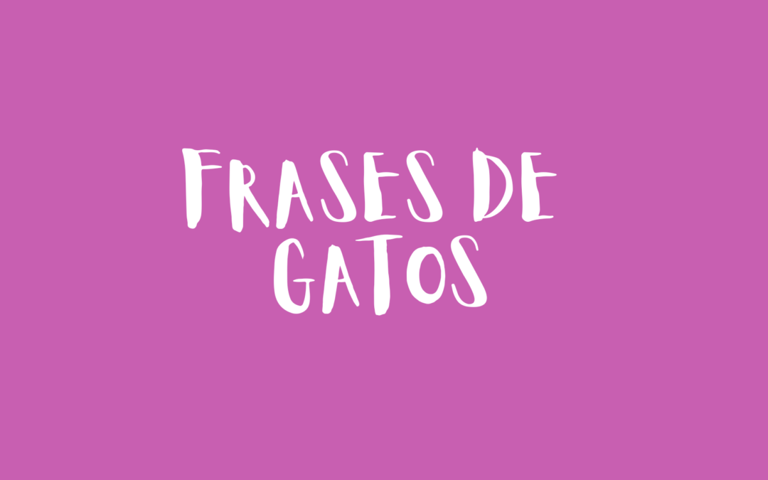 Frases de gatos