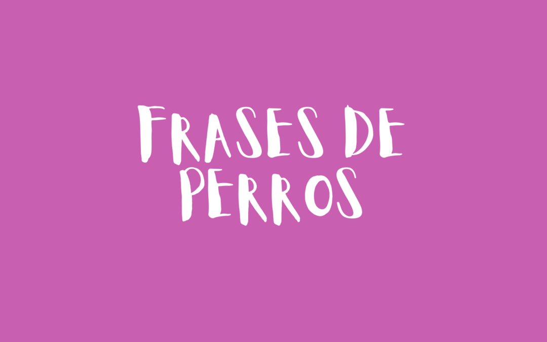 Frases de perros